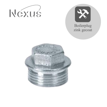 Gegalvaniseerde plug 2”